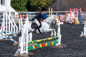 Class 3 -  Fences not above 2'3